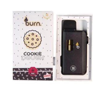 3 Gram Burn Disposable Vapes – Cookie Dough (Hybrid)