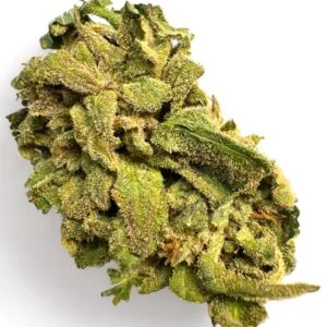 Jungle Diamond