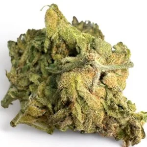 Animals Cookies