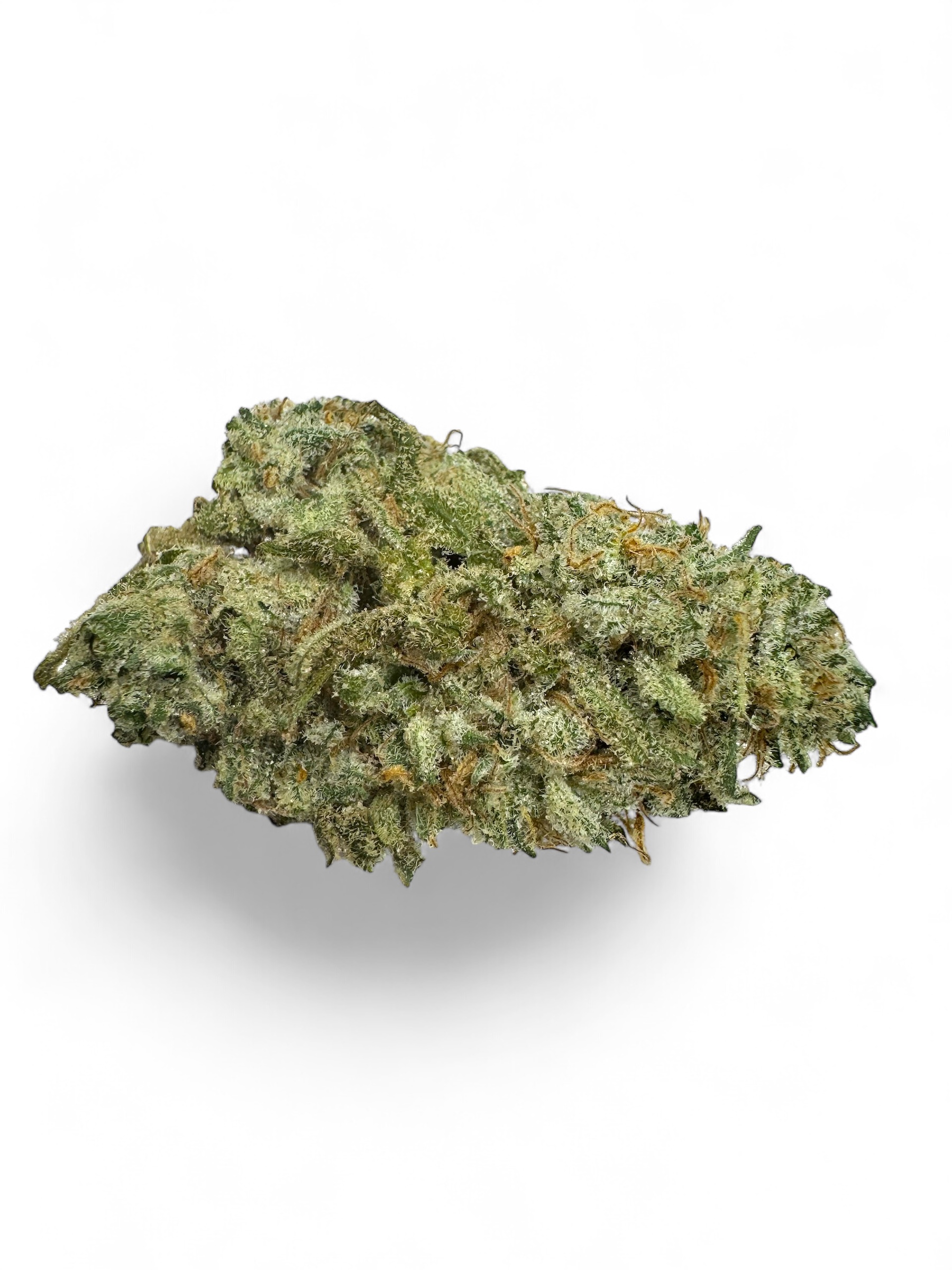 Photoroom_20251002_213520