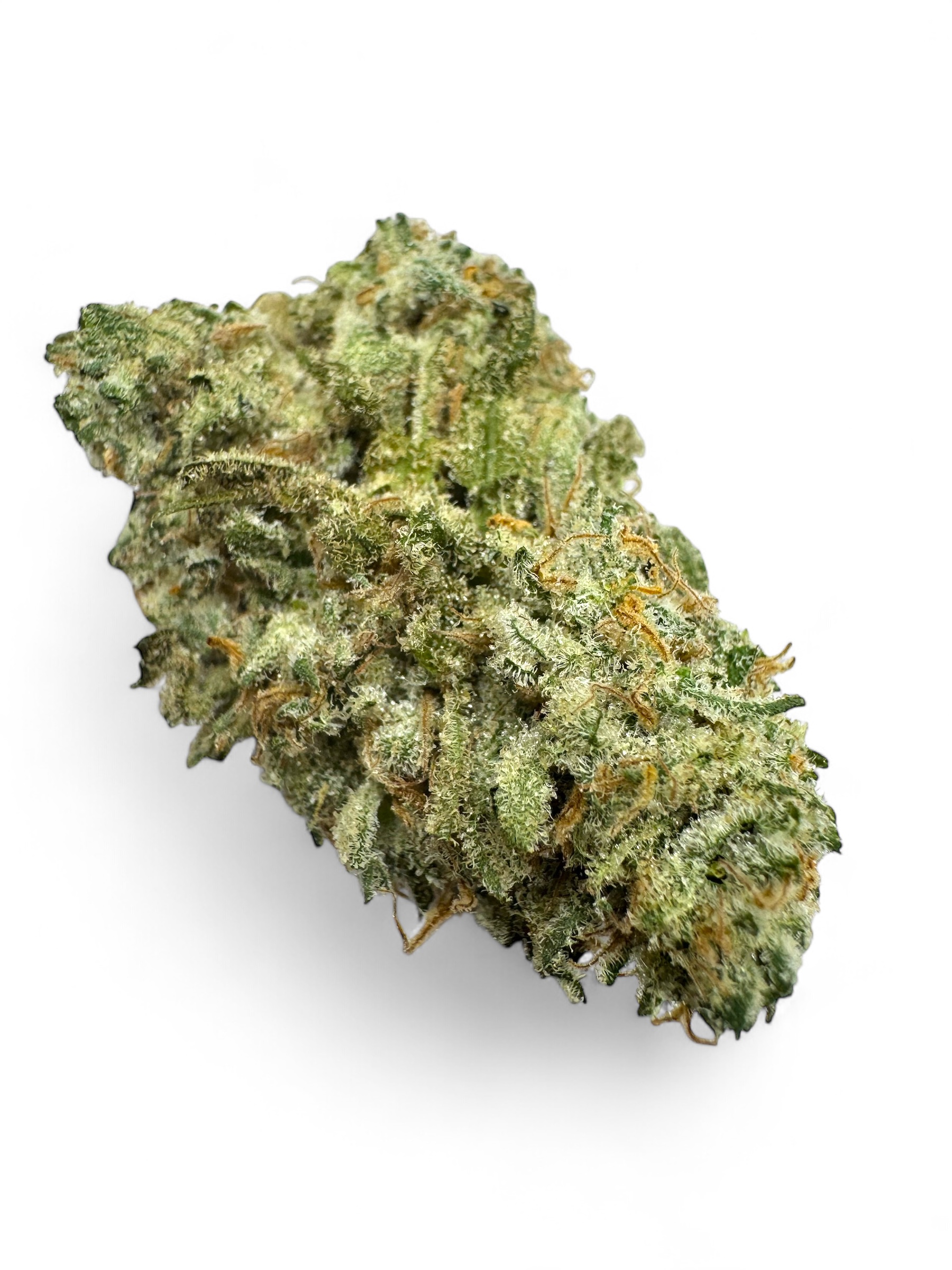 Photoroom_20251002_213554