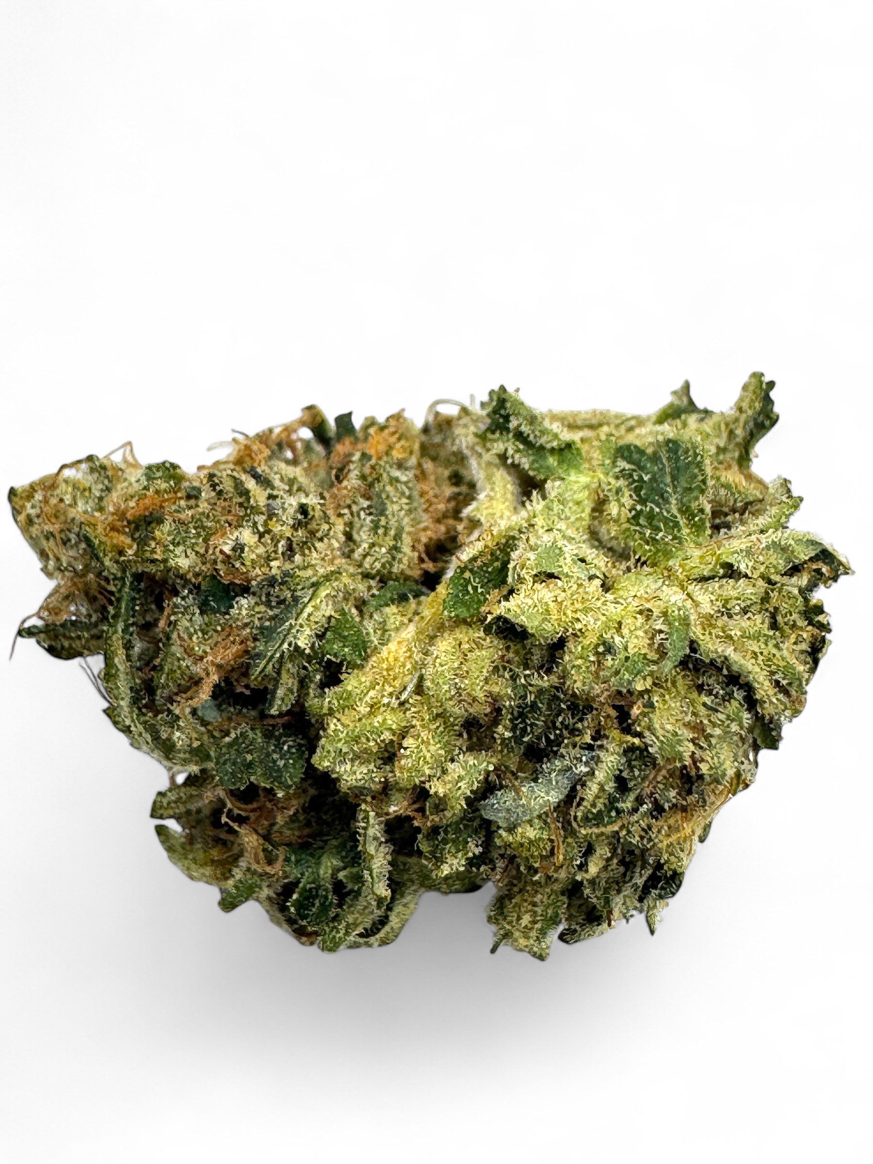 Photoroom_20251020_011504