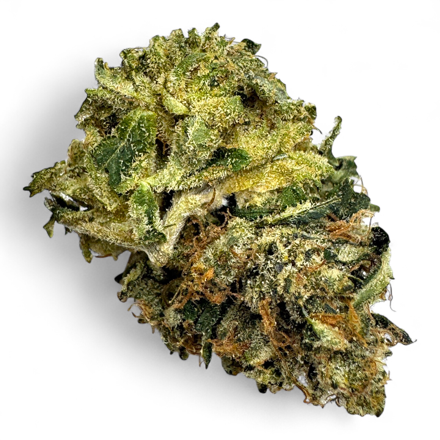 Photoroom_20251020_011738