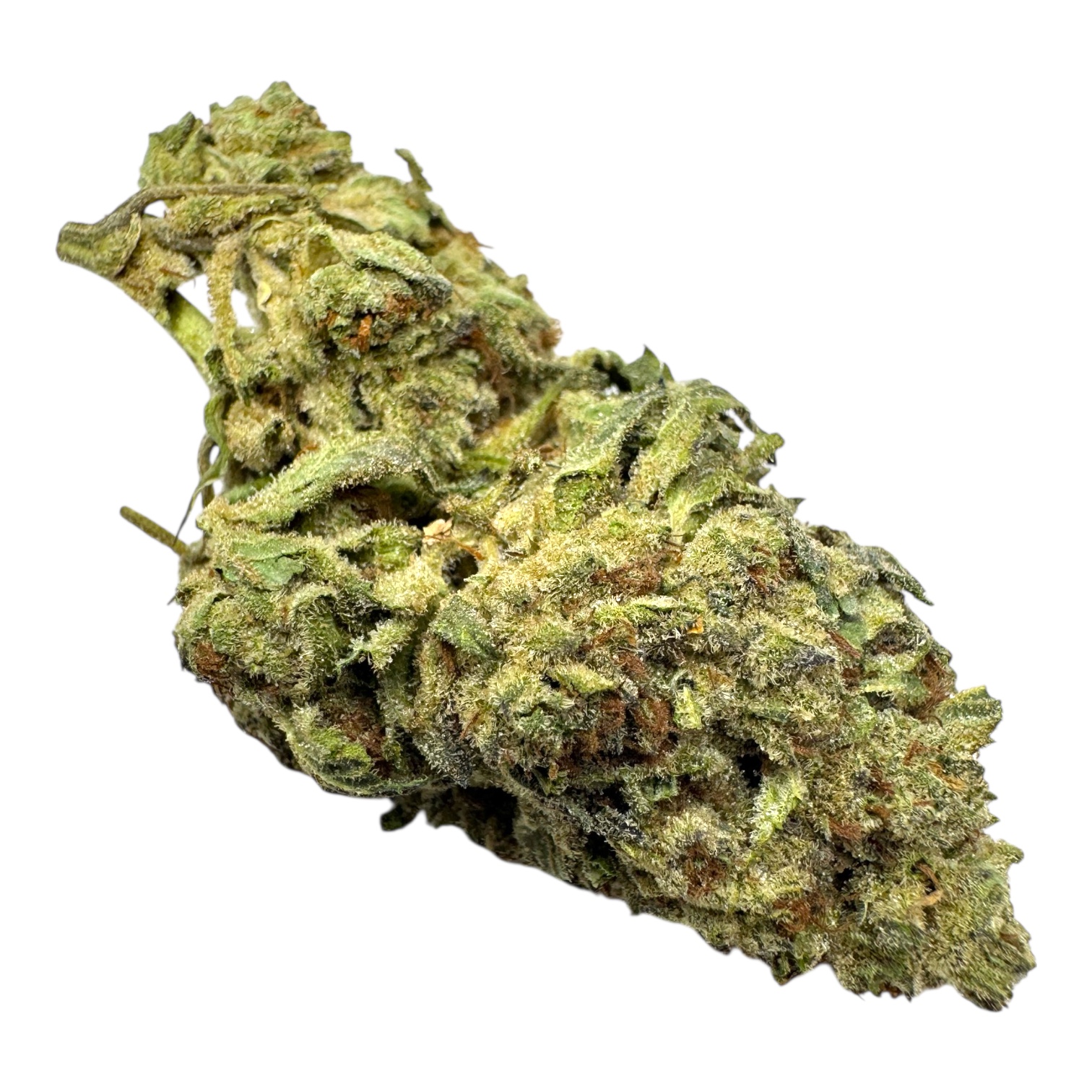 Photoroom_20251020_012441