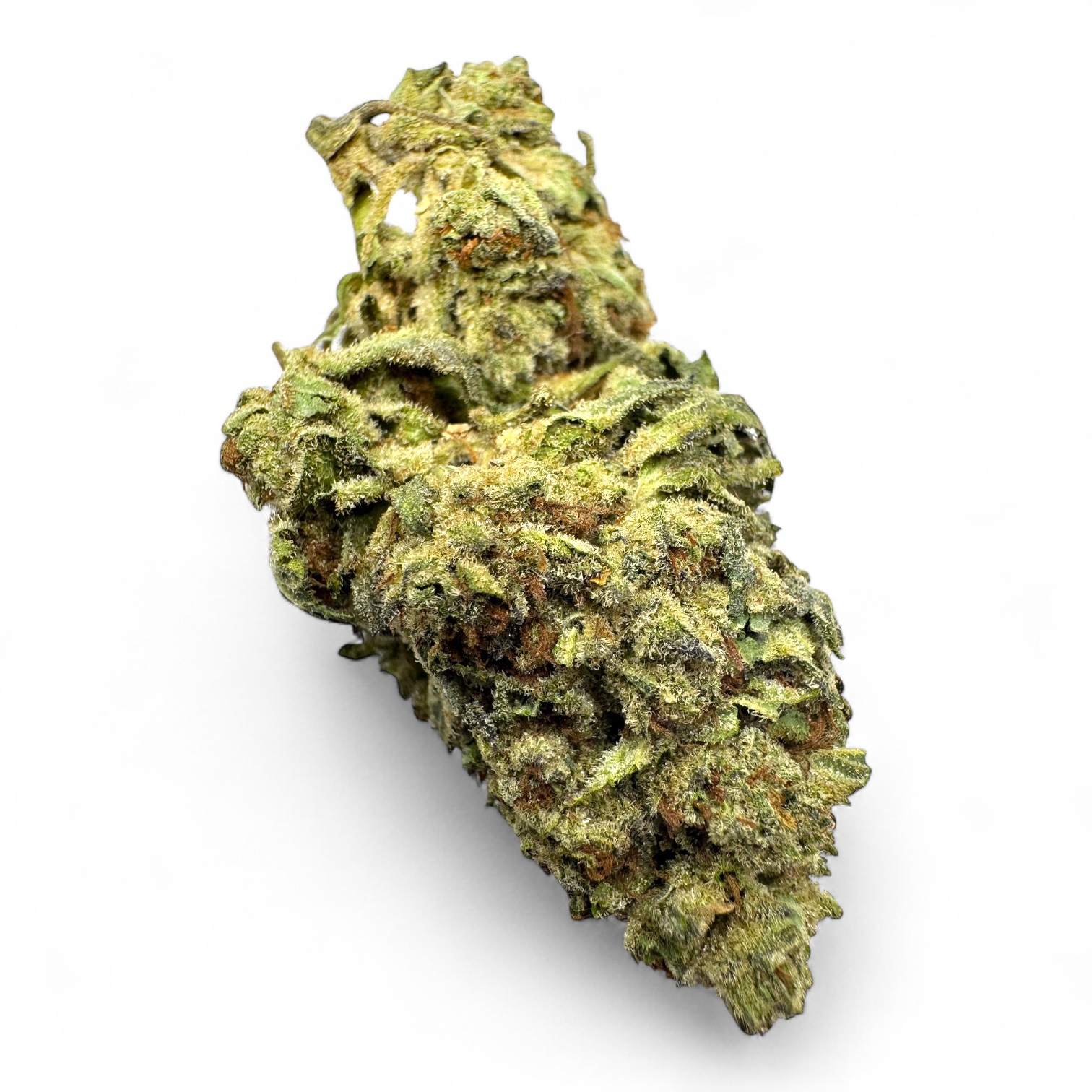 Photoroom_20251020_012809