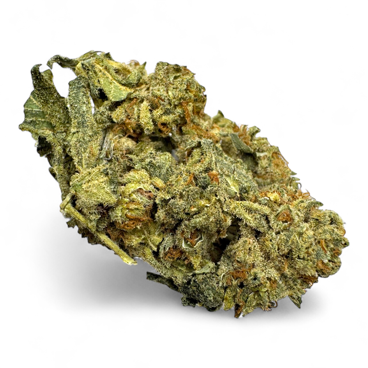 Photoroom_20251020_013117