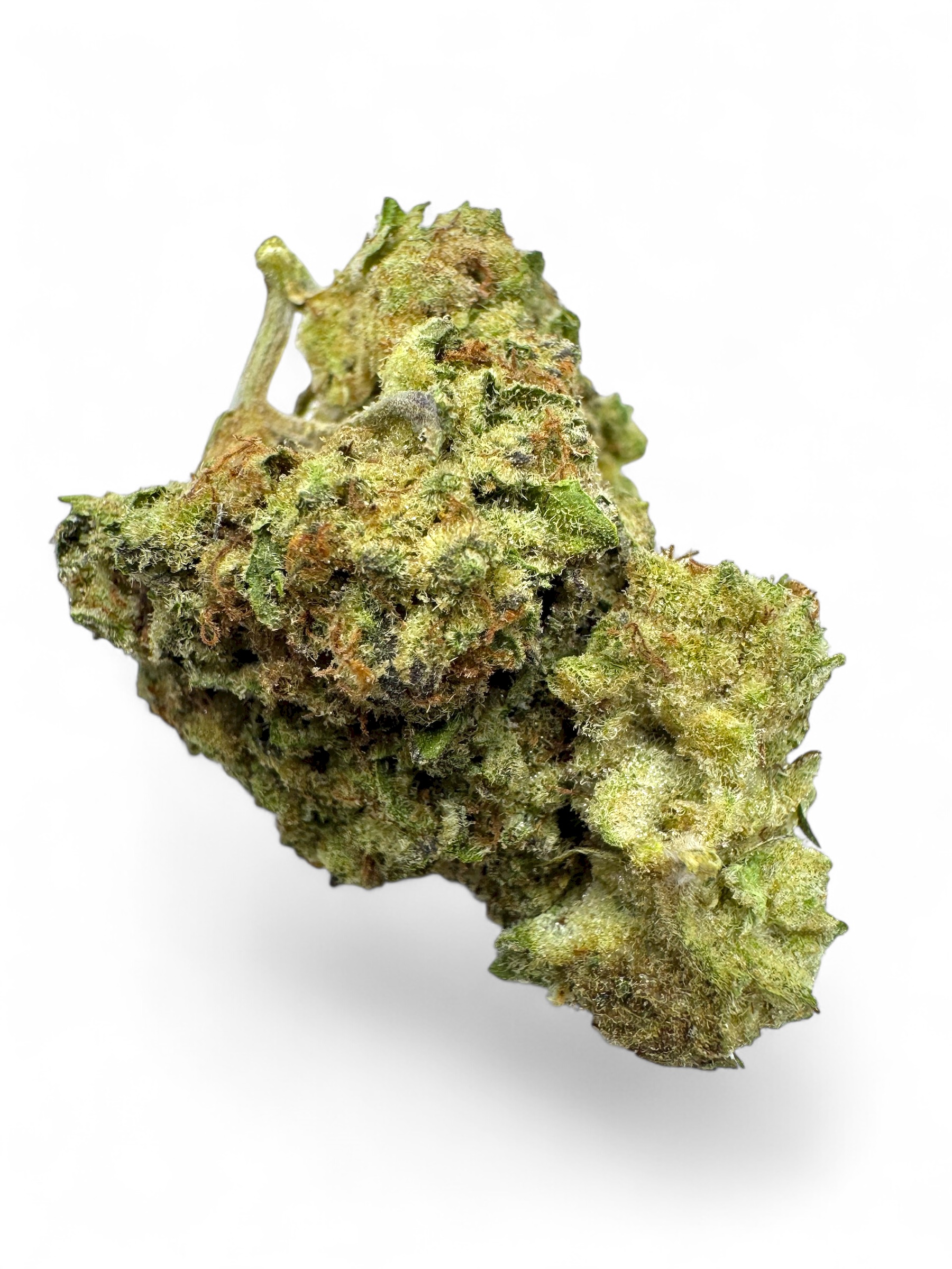 Photoroom_20251104_185343