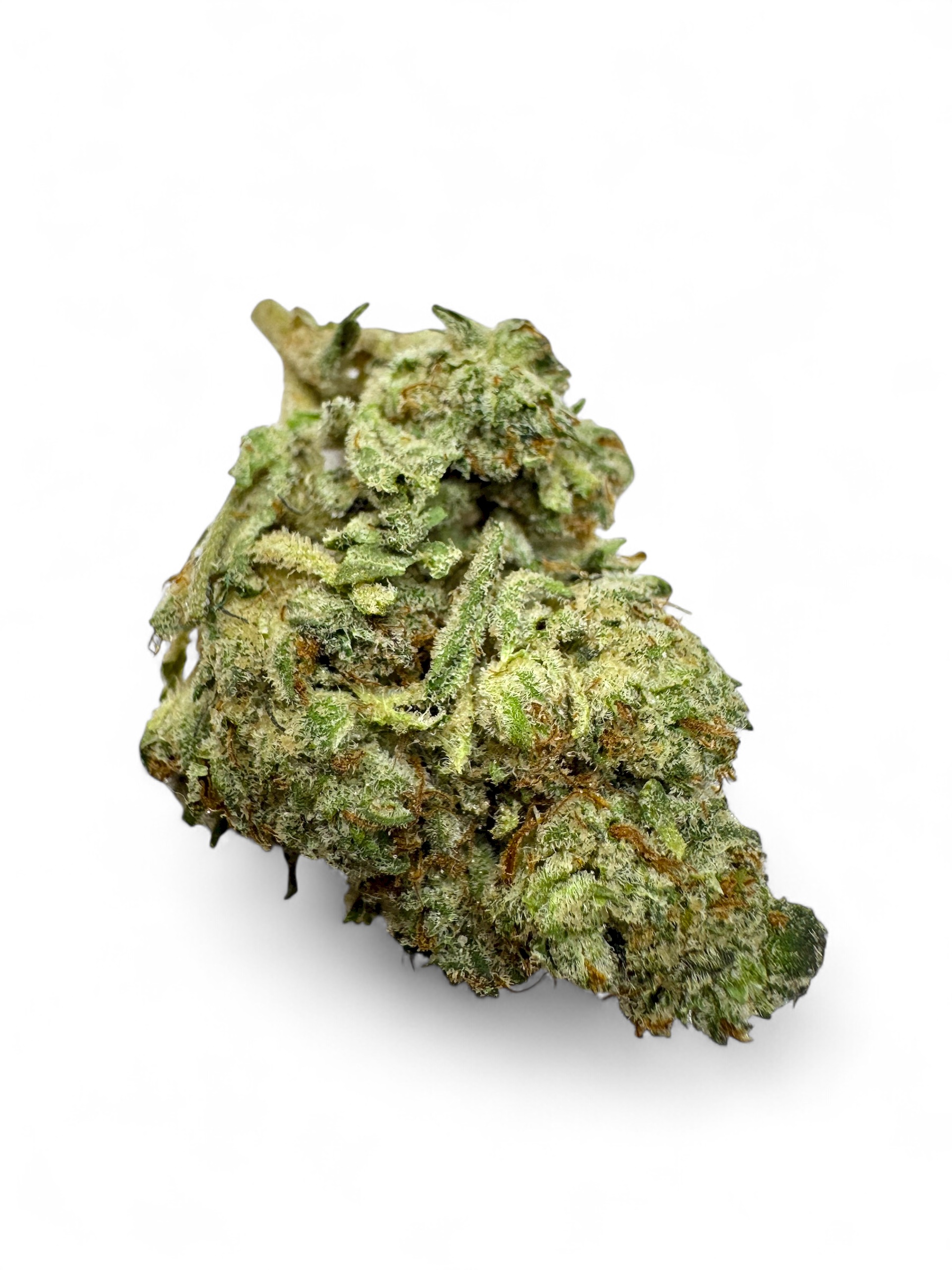 Photoroom_20251104_193827