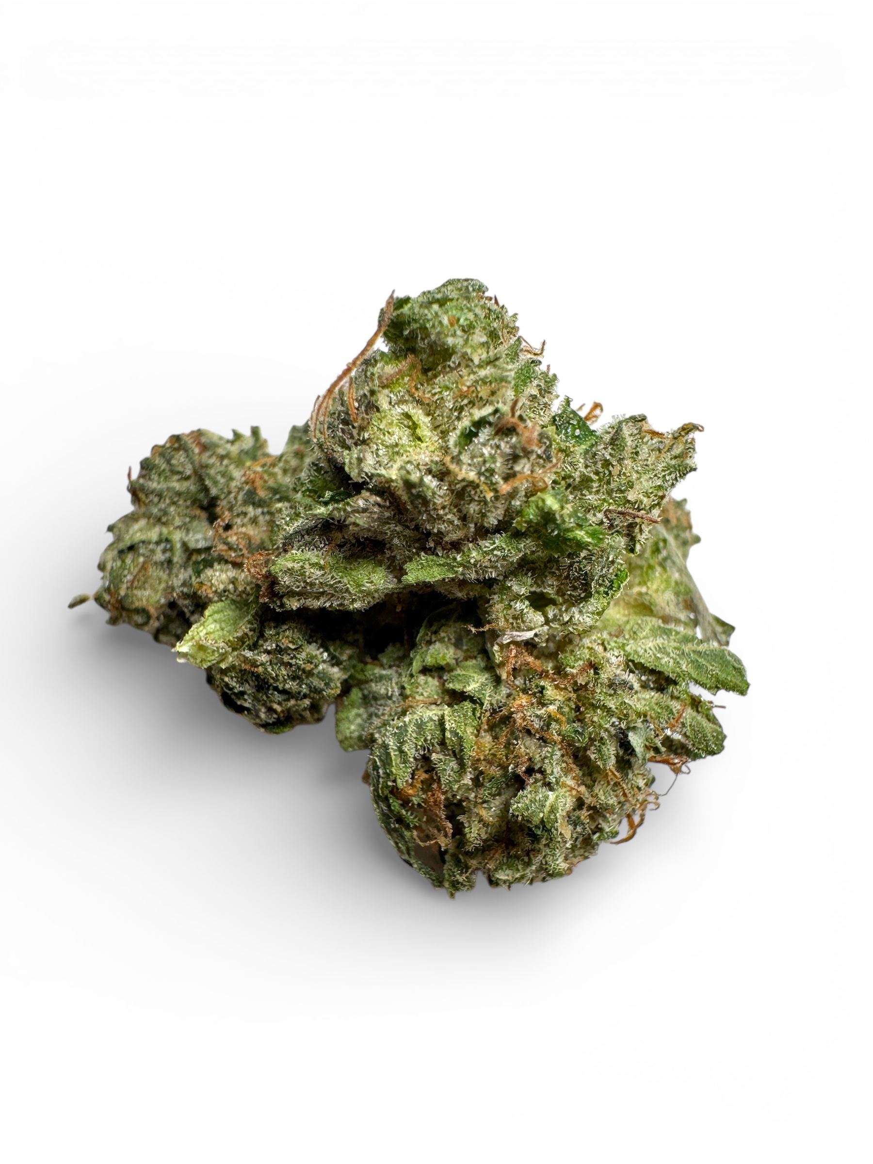 Photoroom_20260107_232900