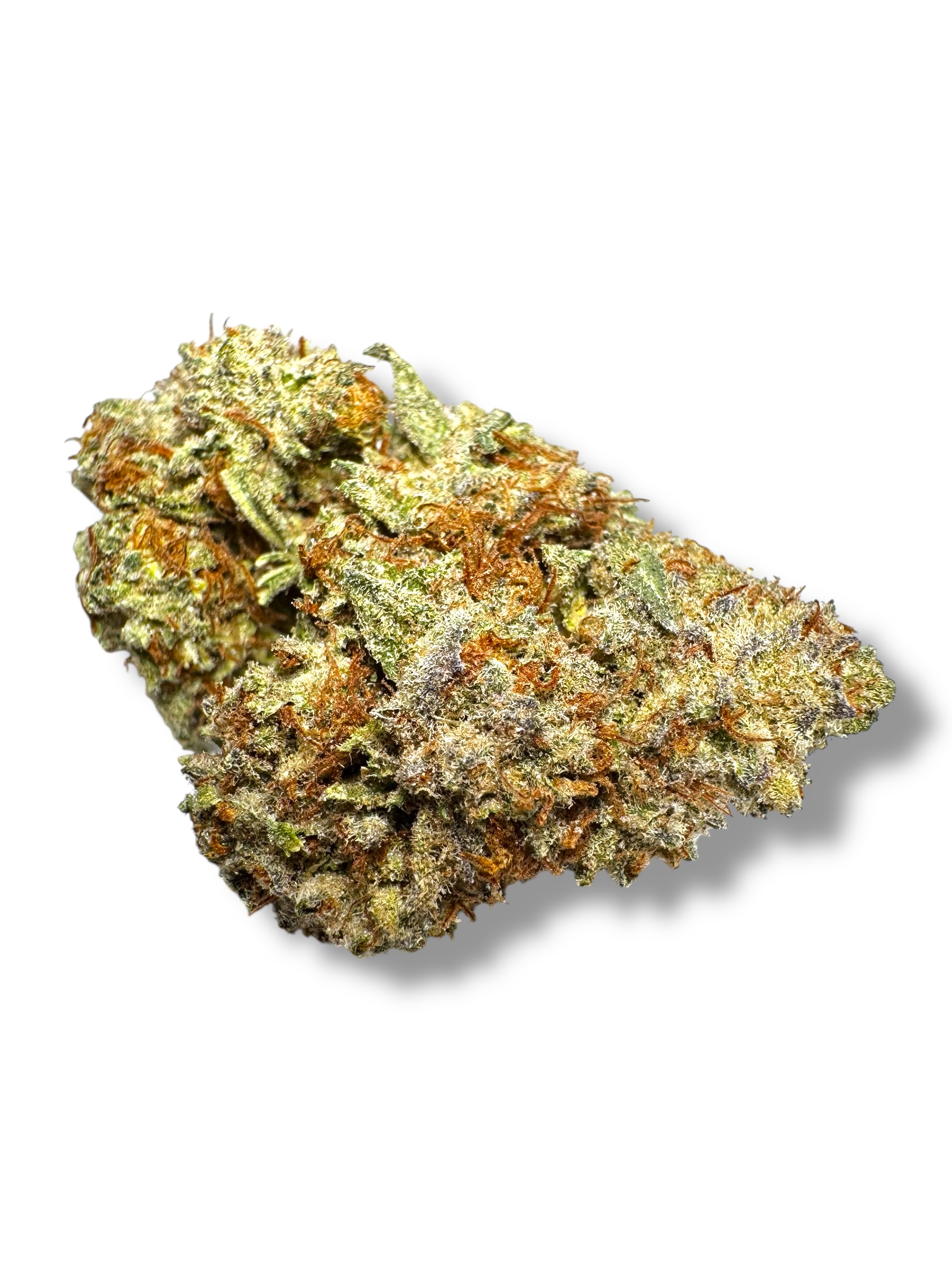 Photoroom_20260315_164428