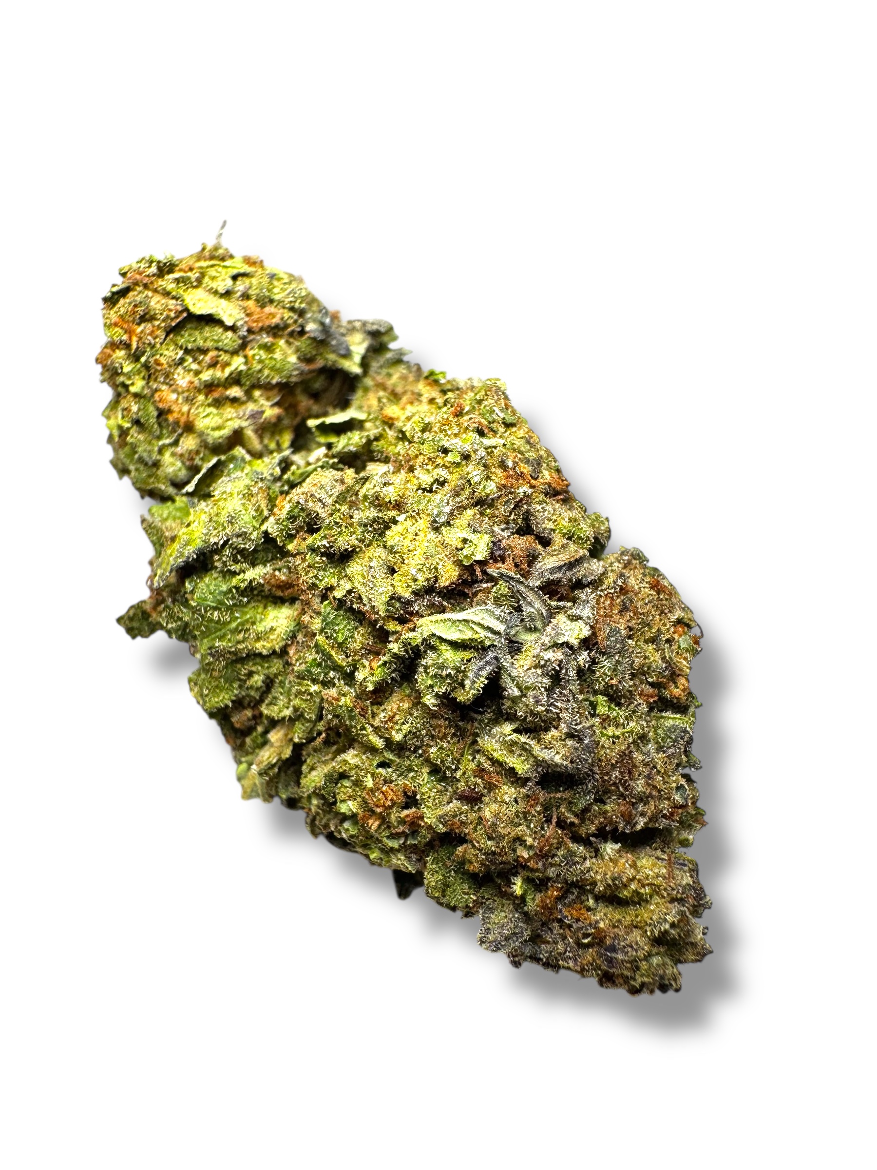 Photoroom_20260315_165931