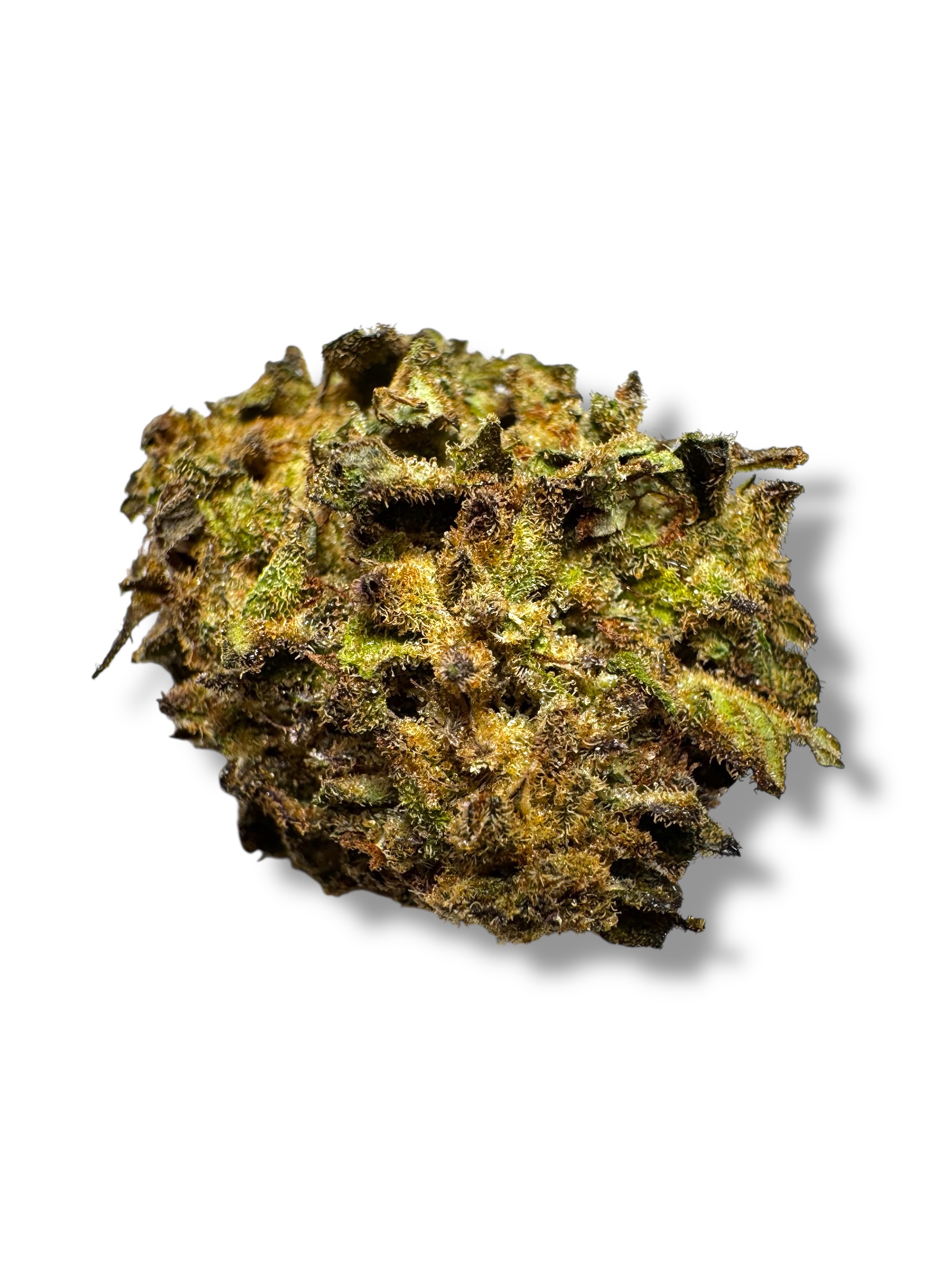 Photoroom_20260315_170310