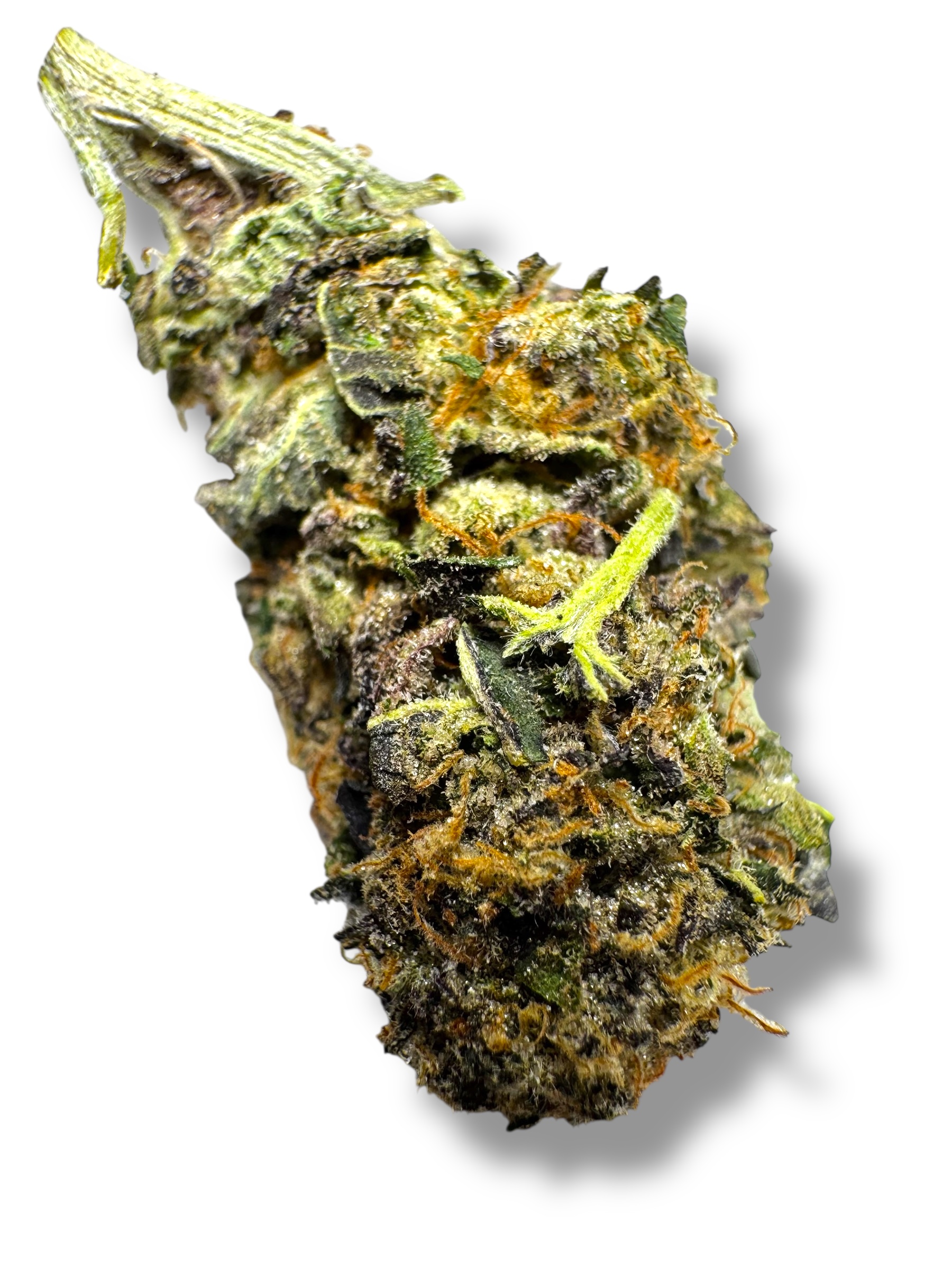 Photoroom_20260315_170730