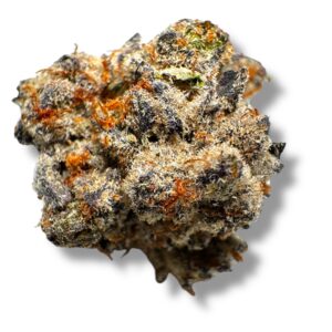 White Rhino