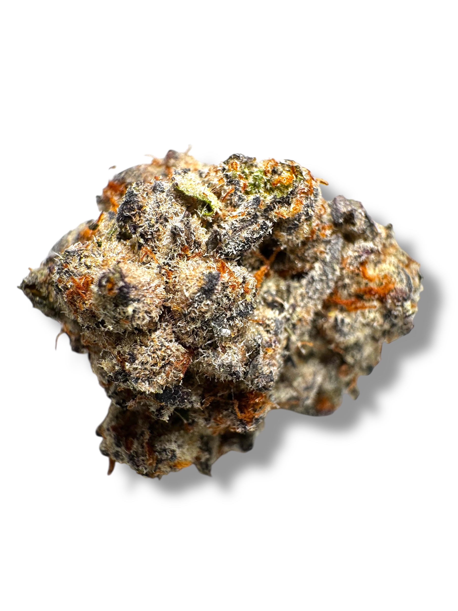 Photoroom_20260315_171211