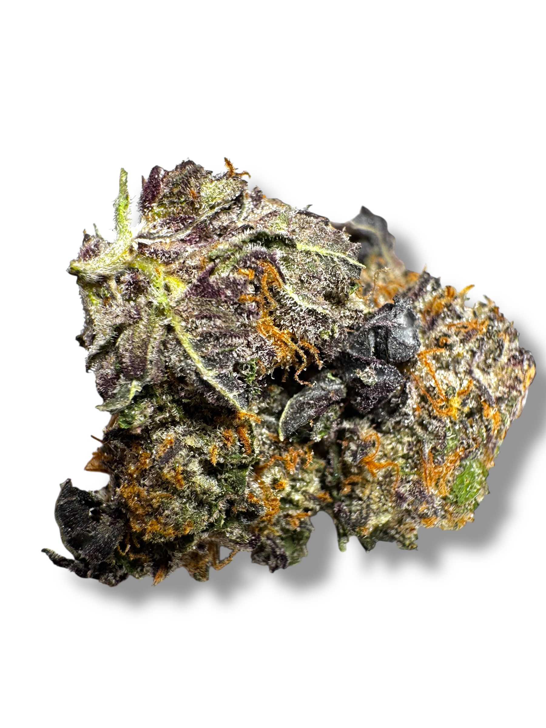 Photoroom_20260315_172041