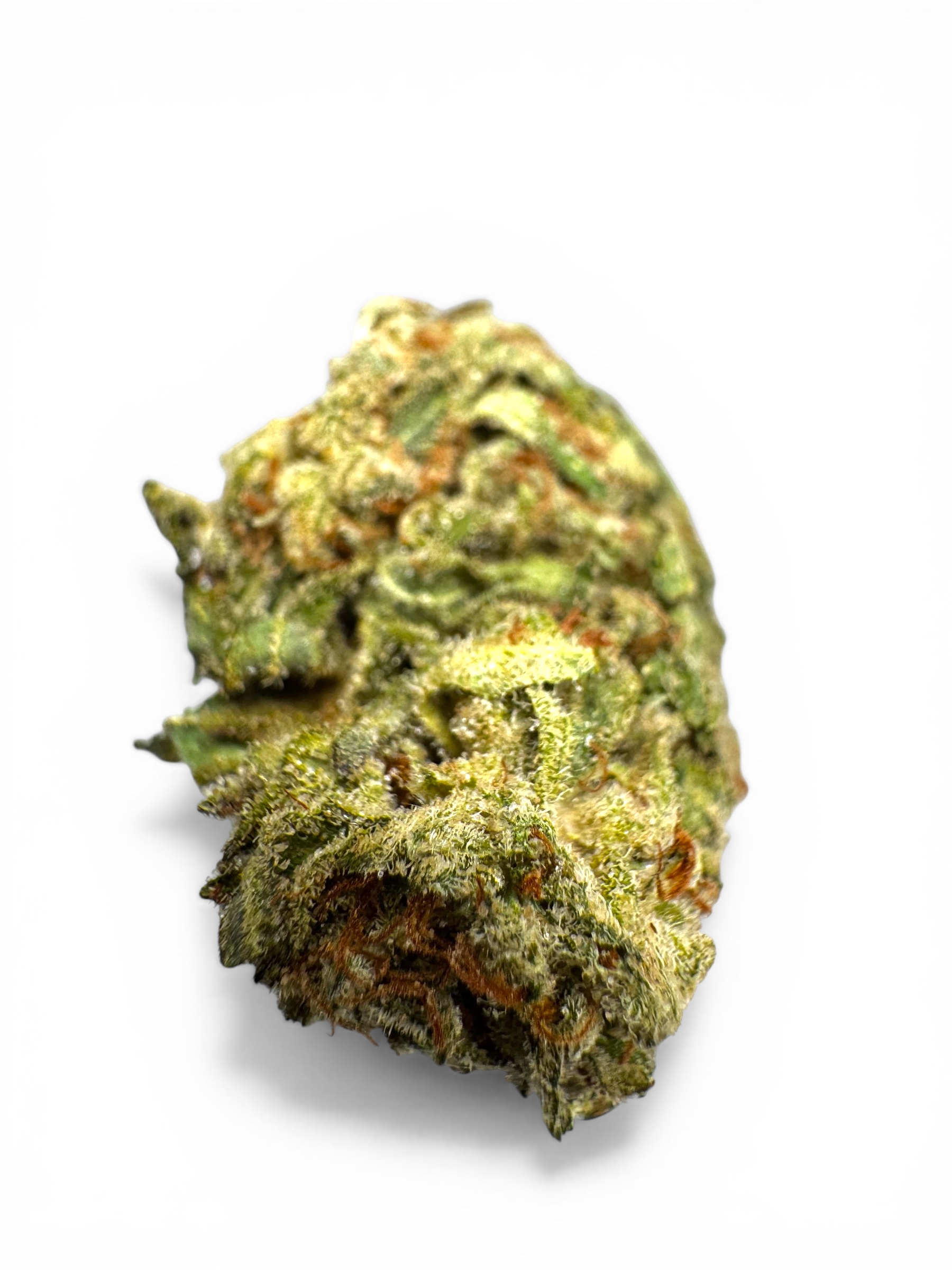 Photoroom_20260410_235307