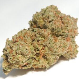 Violator Kush