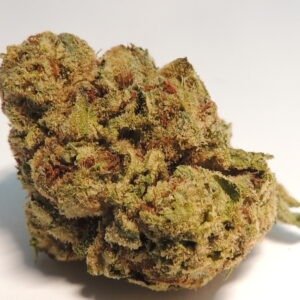 Blue Widow