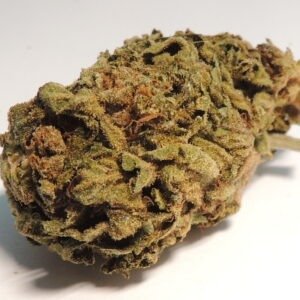 Blueberry