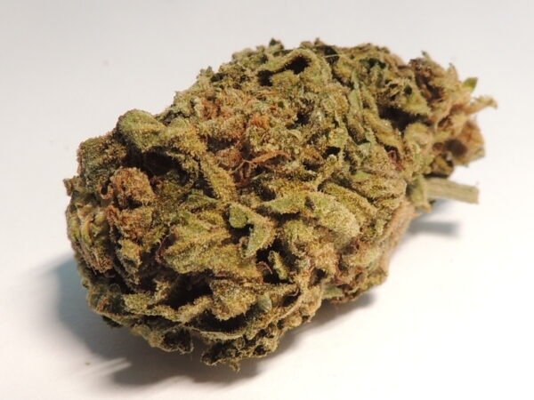 Blueberry