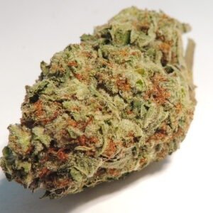 Pink Gelato