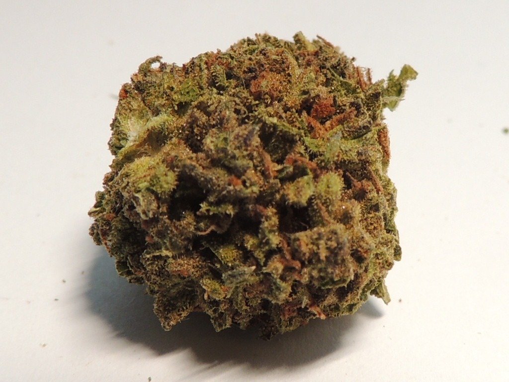 RSCN1008