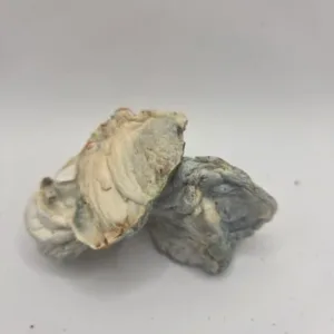 Glacier Blobs