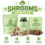shroomsspeedy